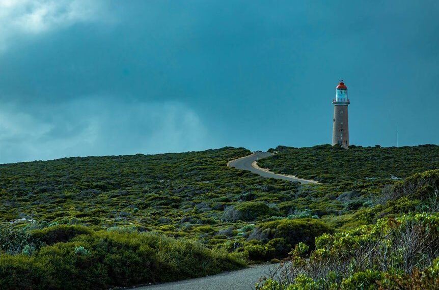 competitive expansion forecast details