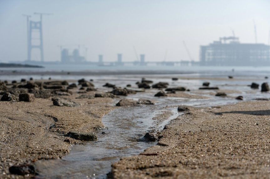 industry expansion evaluation metrics