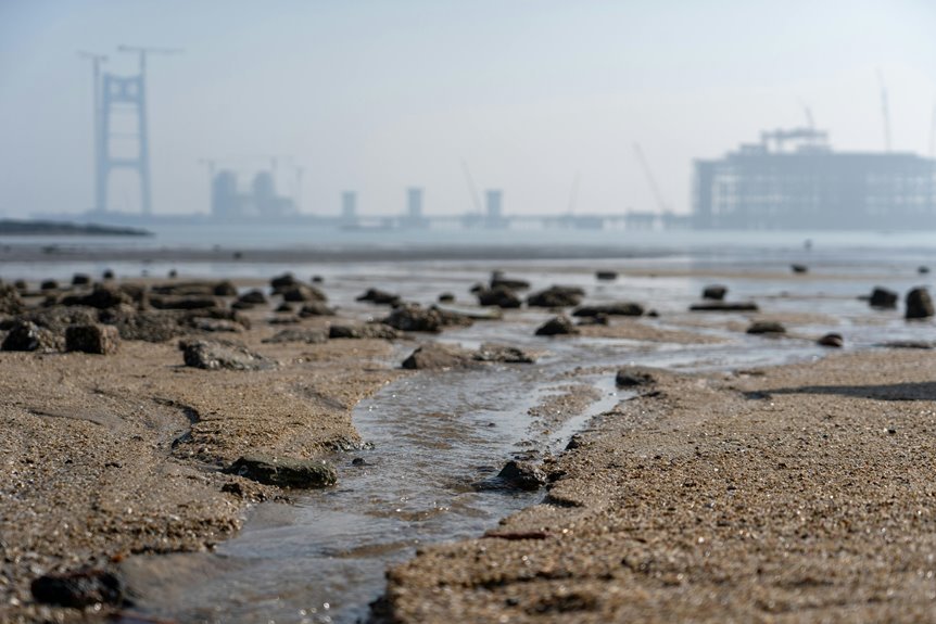 industry expansion numerical summary